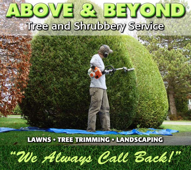 ABOVE & BEYOND TREE & SHRUBBERY SERVICE South Bend, IN Lawns, Tree Trimming Landscaping
