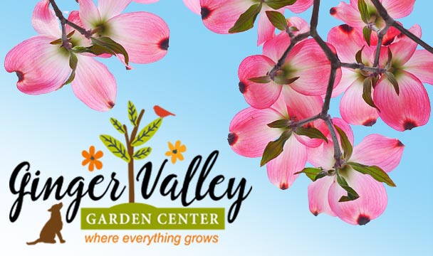 GINGER VALLEY GARDEN CENTER. You will always get exactly what you're looking for. This is where everything grows!