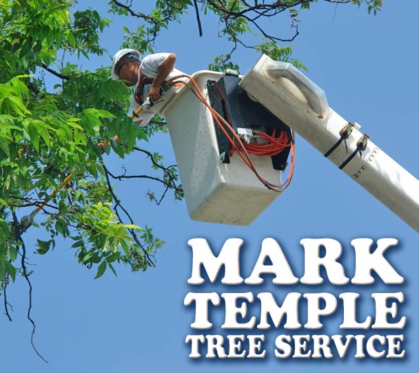 MARK TEMPLE TREE SERVICE, a name you can trust, a reputation you can depend on, since 1964.
