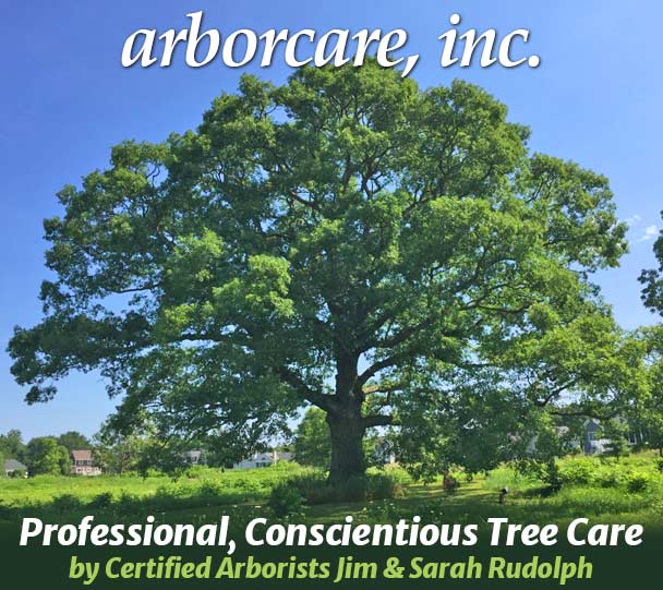 For over 25 years, the professionals at ARBORCARE, INC. have been Michiana's number one Arborists.
