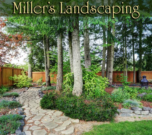 MILLER’S LANDSCAPING designs and creates ideal outdoor environments for the things you love doing most - whether it’s entertaining, relaxing, gardening or a picnic on the patio.
