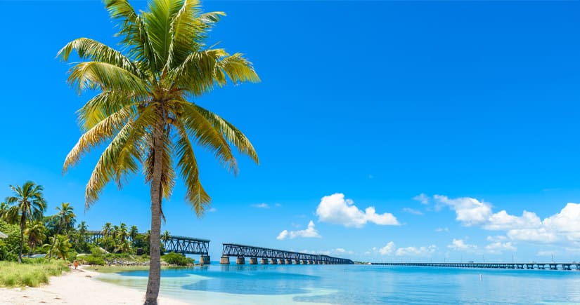 Fun Things To Do In Florida Keys