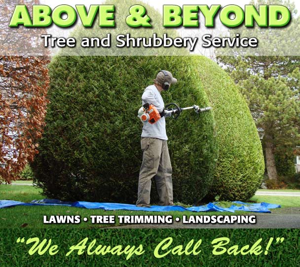 ABOVE & BEYOND TREE & SHRUBBERY SERVICE, over-the-top, world-class, beautiful landscaping
