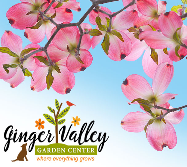 GINGER VALLEY GARDEN CENTER. You will always get exactly what you're looking for. This is where everything grows!

