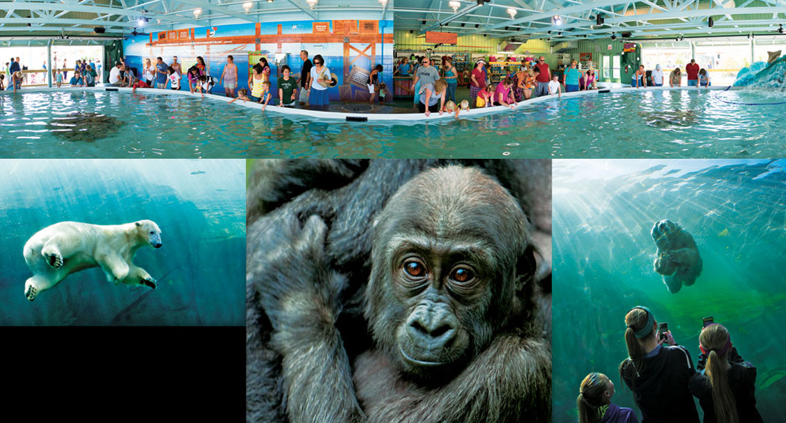 America's Best Zoos in Photos