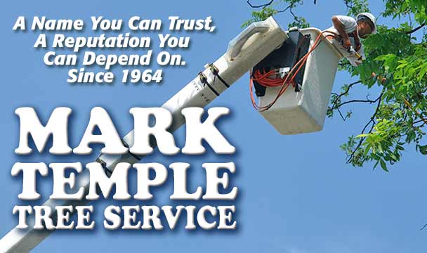 MARK TEMPLE TREE SERVICE, a name you can trust, a reputation you can depend on, since 1964.