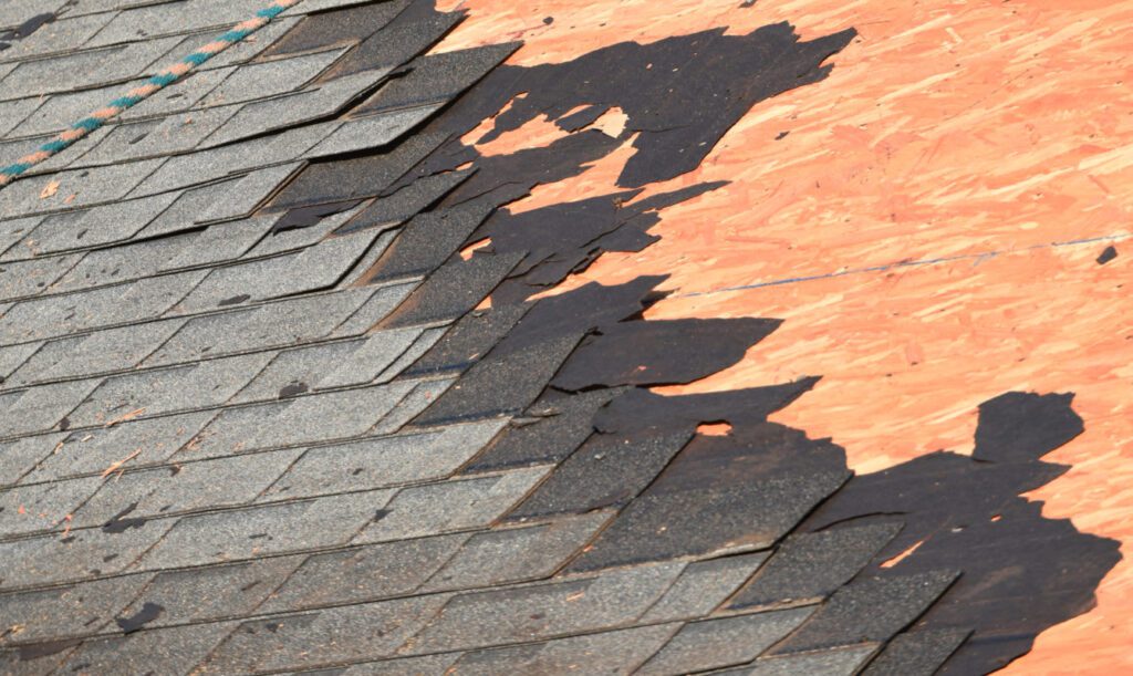 Blog-Hero-Image_TearOff2-1340x800-1-1024x611.jpg